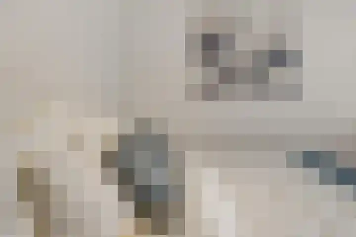 Ravelijnsplein 3 Muiden thumbnail 17