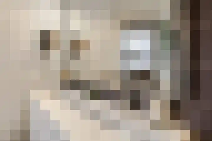 Ravelijnsplein 3 Muiden thumbnail 23