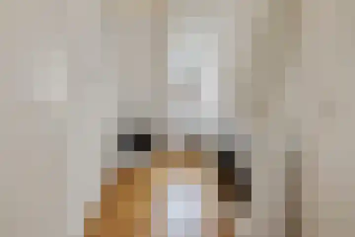 Ravelijnsplein 3 Muiden thumbnail 32
