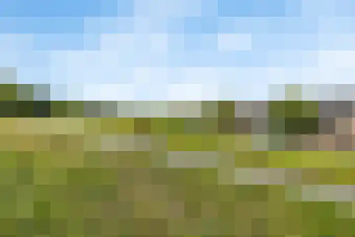 Ravelijnsplein 3 Muiden thumbnail 37