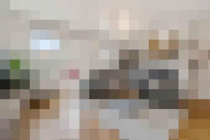 Ravelijnsplein 3 Muiden thumbnail 4