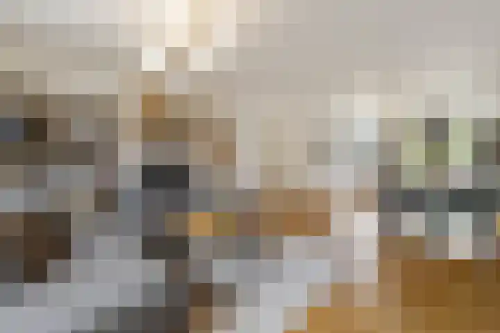 Ravelijnsplein 3 Muiden thumbnail 6