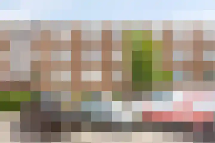 Ravelijnstraat 123 Culemborg thumbnail 4
