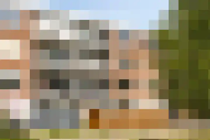 Ravelijnstraat 123 Culemborg thumbnail 7