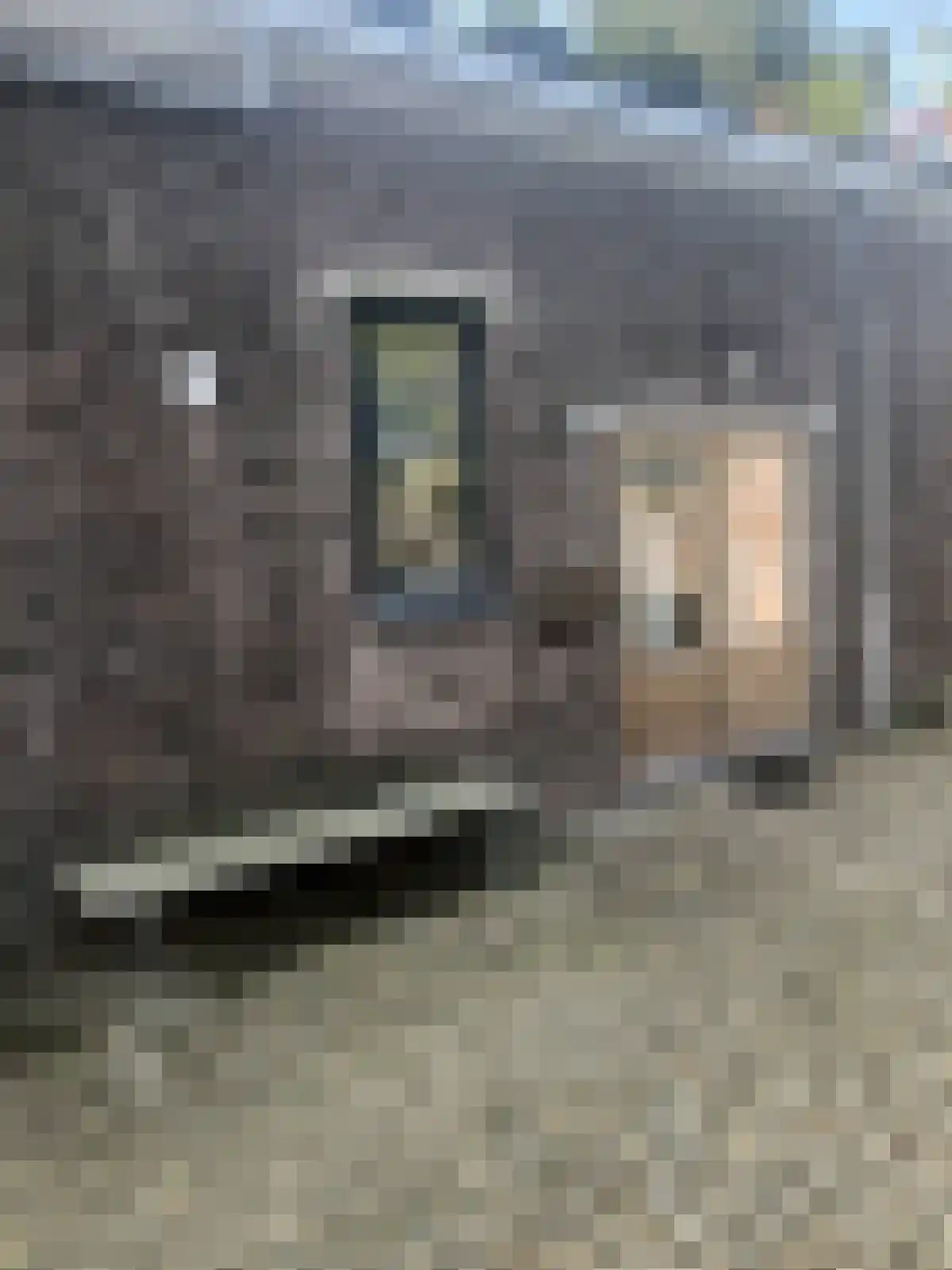 Ravelijnstraat 130 Maastricht thumbnail 5