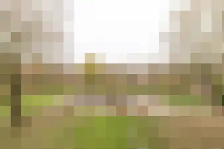 Ravelijnstraat 15 Culemborg thumbnail 4