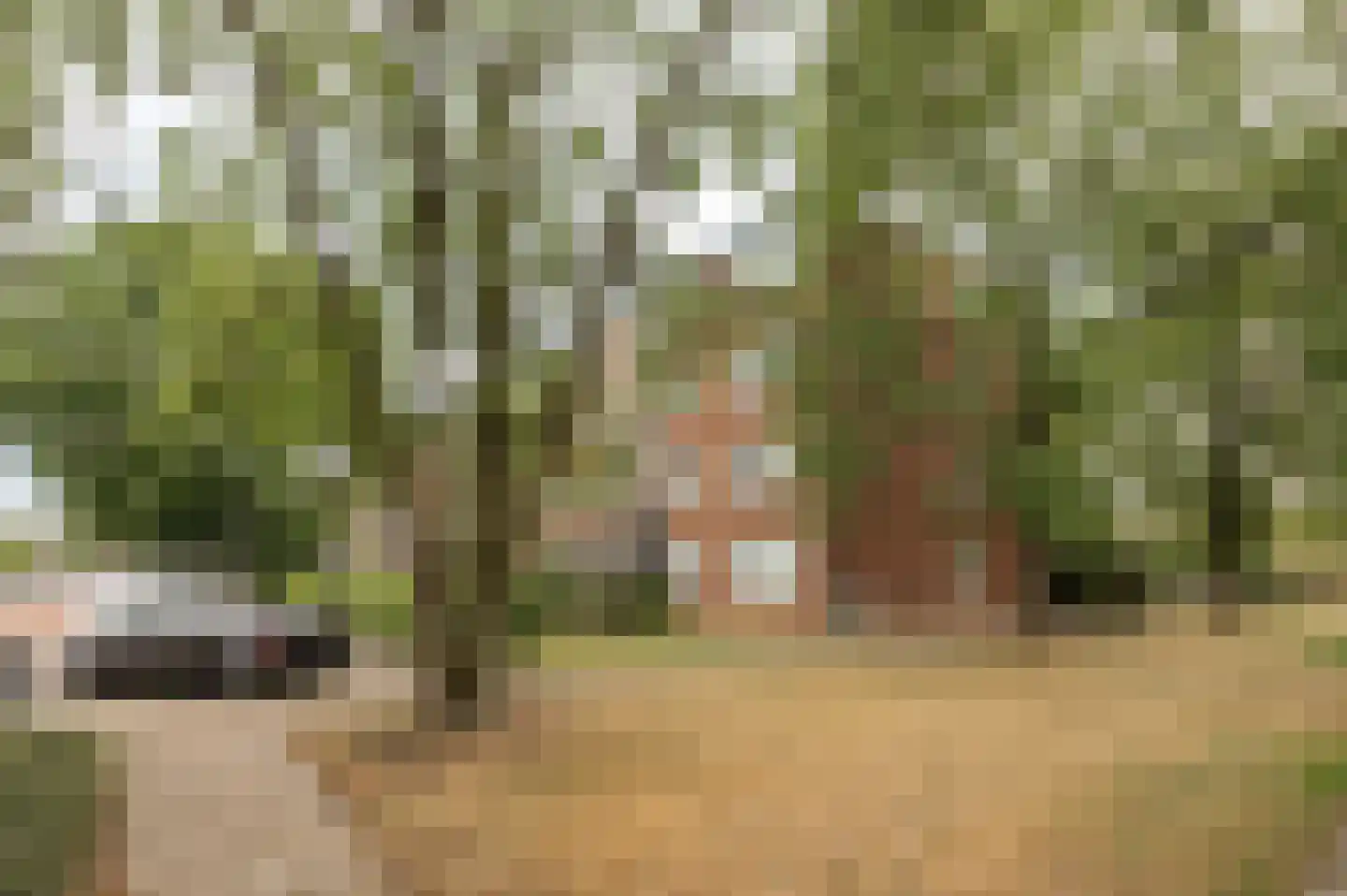 Ravelijnstraat 17 Culemborg thumbnail 27