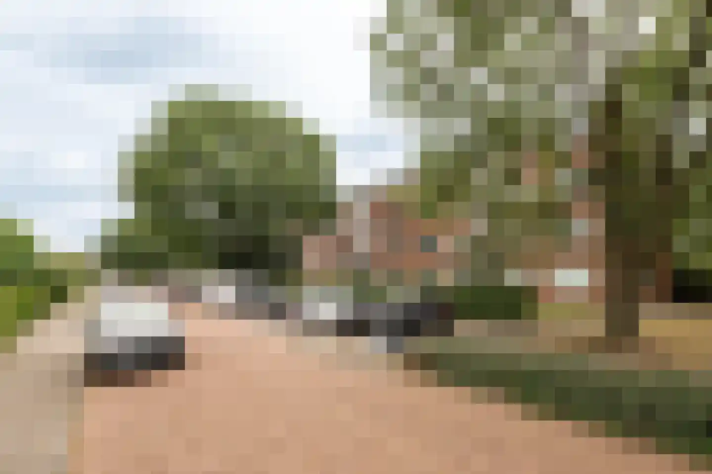 Ravelijnstraat 17 Culemborg thumbnail 28