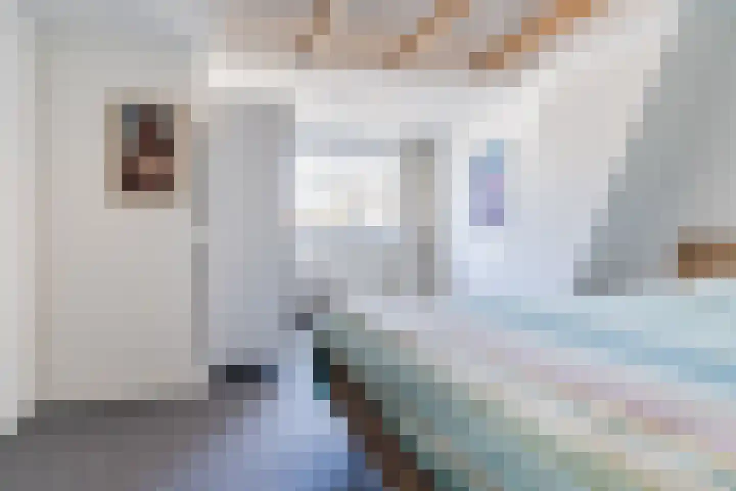 Ravelijnstraat 28 Culemborg thumbnail 30