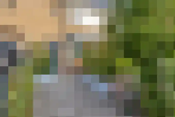 Ravelijnstraat 36 Culemborg thumbnail 11