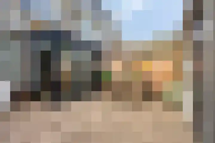 Ravelijnstraat 36 Culemborg thumbnail 56