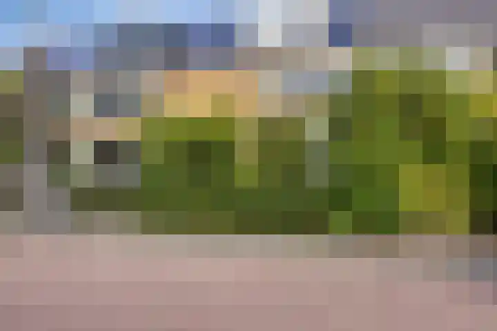 Ravelijnstraat 36 Culemborg thumbnail 6