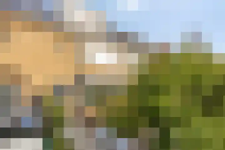 Ravelijnstraat 36 Culemborg thumbnail 9