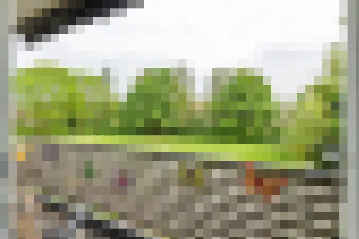 Ravelijnstraat 53 Culemborg thumbnail 31
