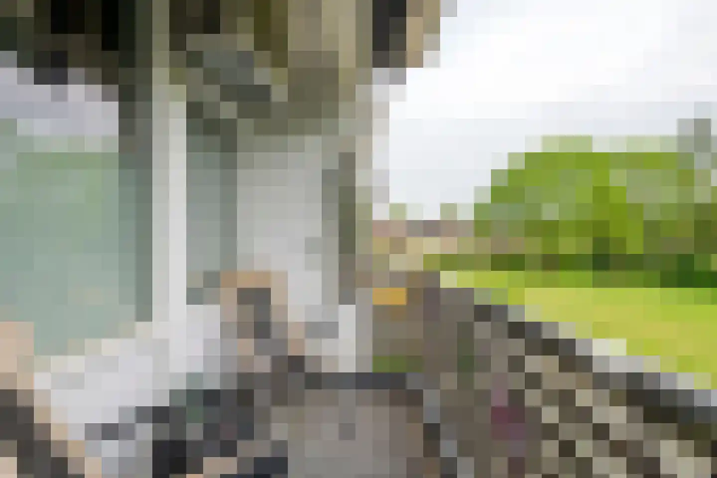 Ravelijnstraat 53 Culemborg thumbnail 32