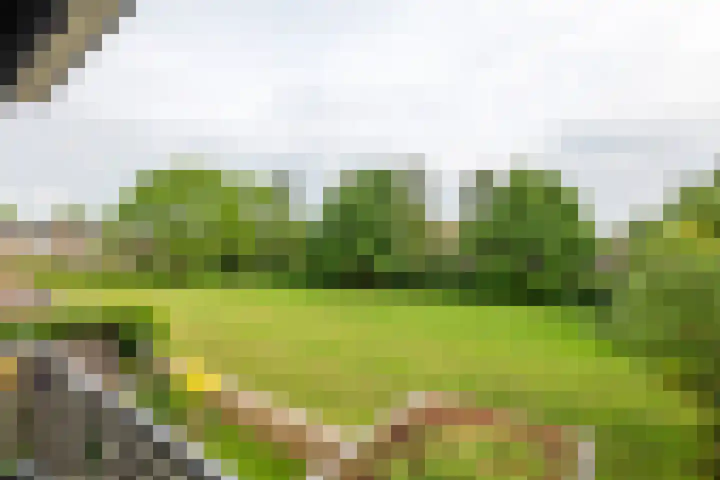 Ravelijnstraat 53 Culemborg thumbnail 34