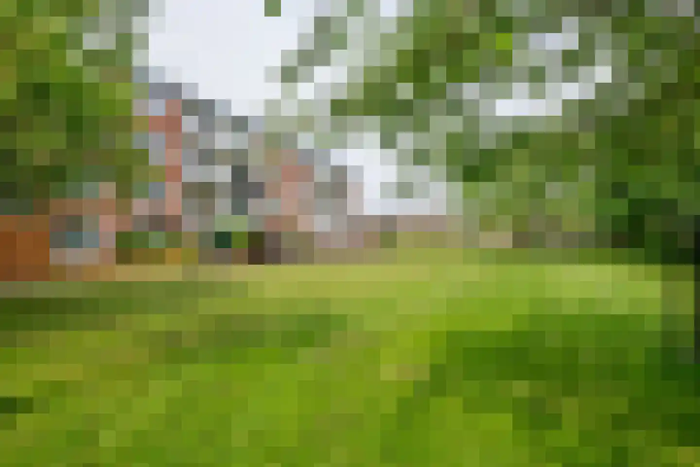 Ravelijnstraat 53 Culemborg thumbnail 36