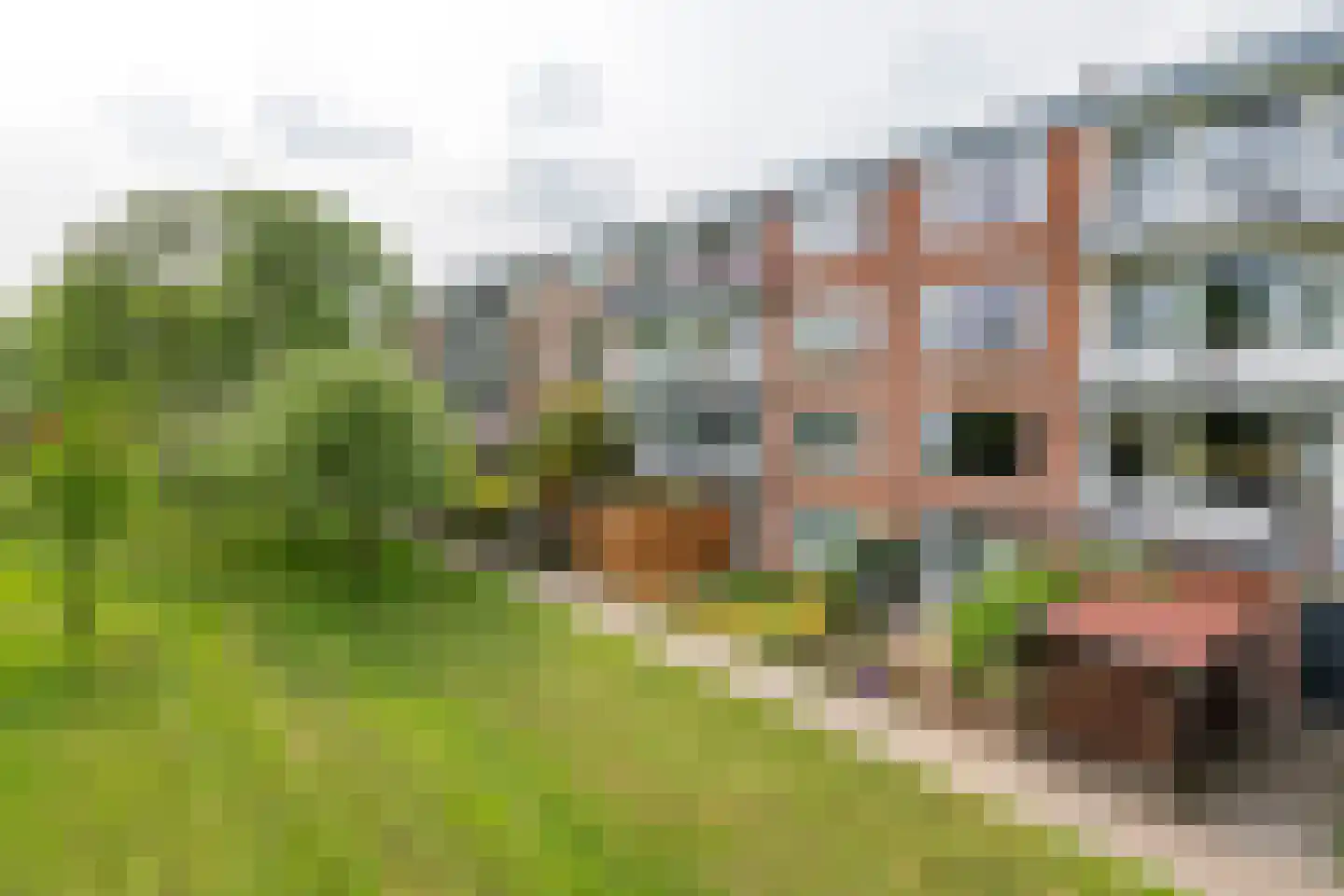 Ravelijnstraat 53 Culemborg thumbnail 38