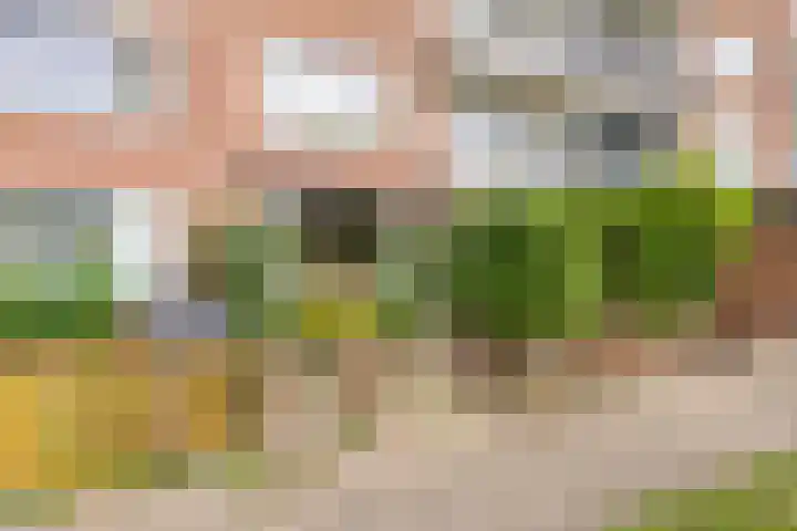 Ravelijnstraat 59 Culemborg thumbnail 18