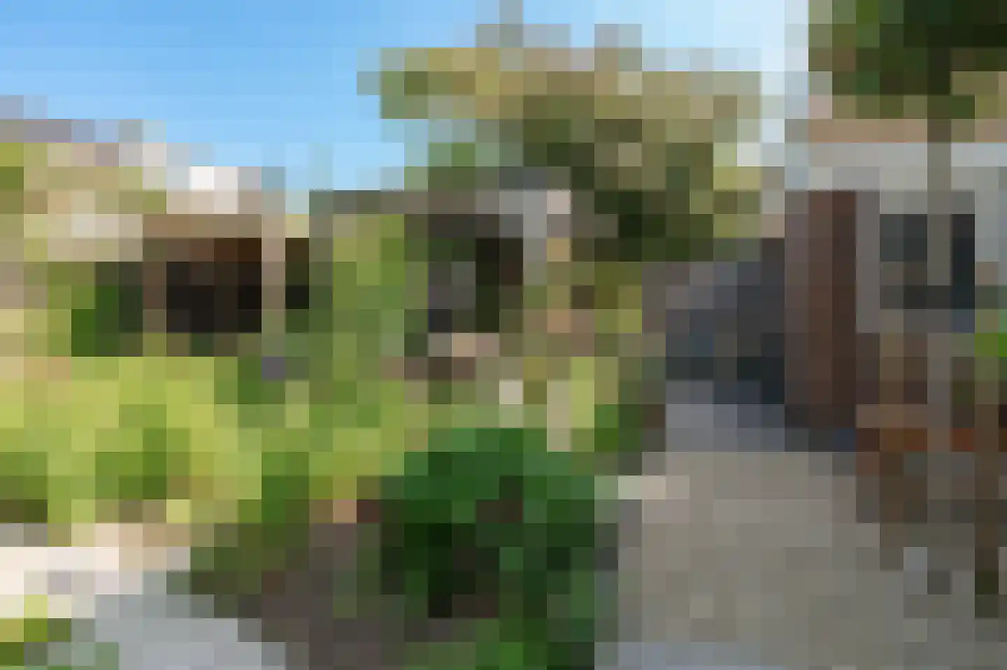 Ravelijnstraat 66 Culemborg thumbnail 20