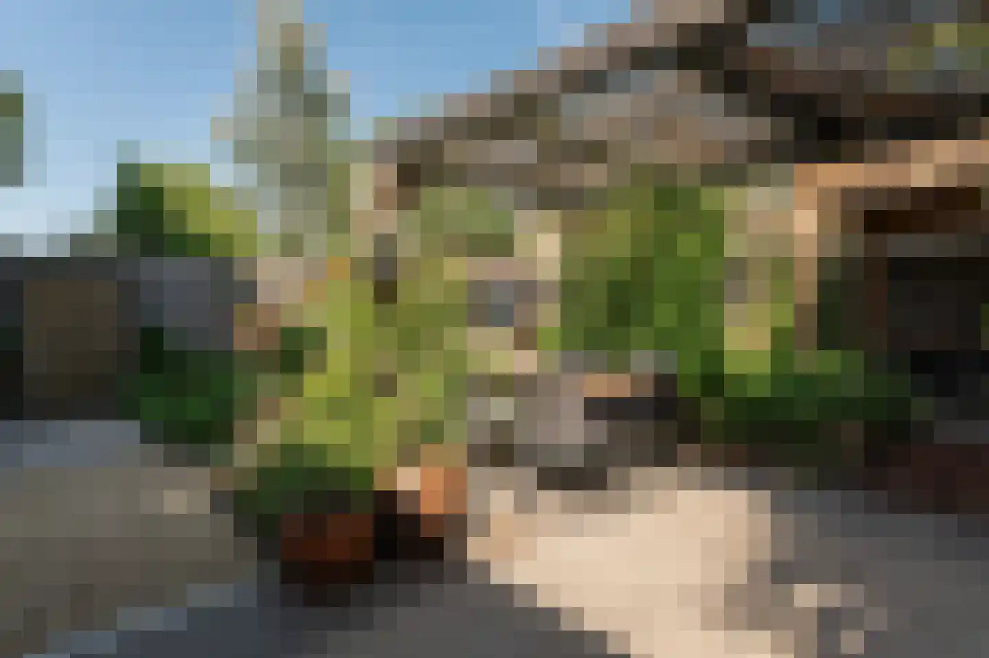 Ravelijnstraat 66 Culemborg thumbnail 22