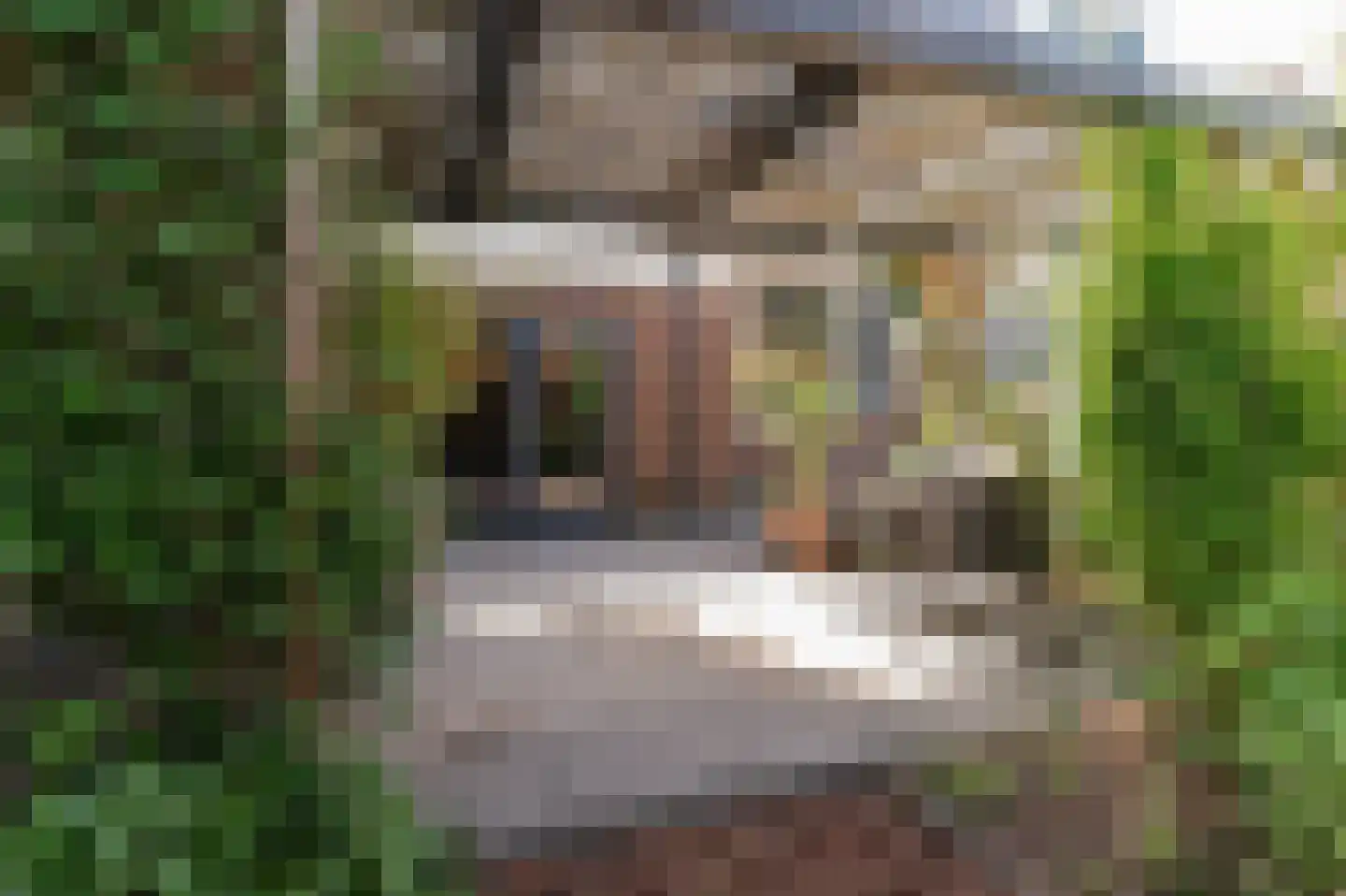 Ravelijnstraat 66 Culemborg thumbnail 27