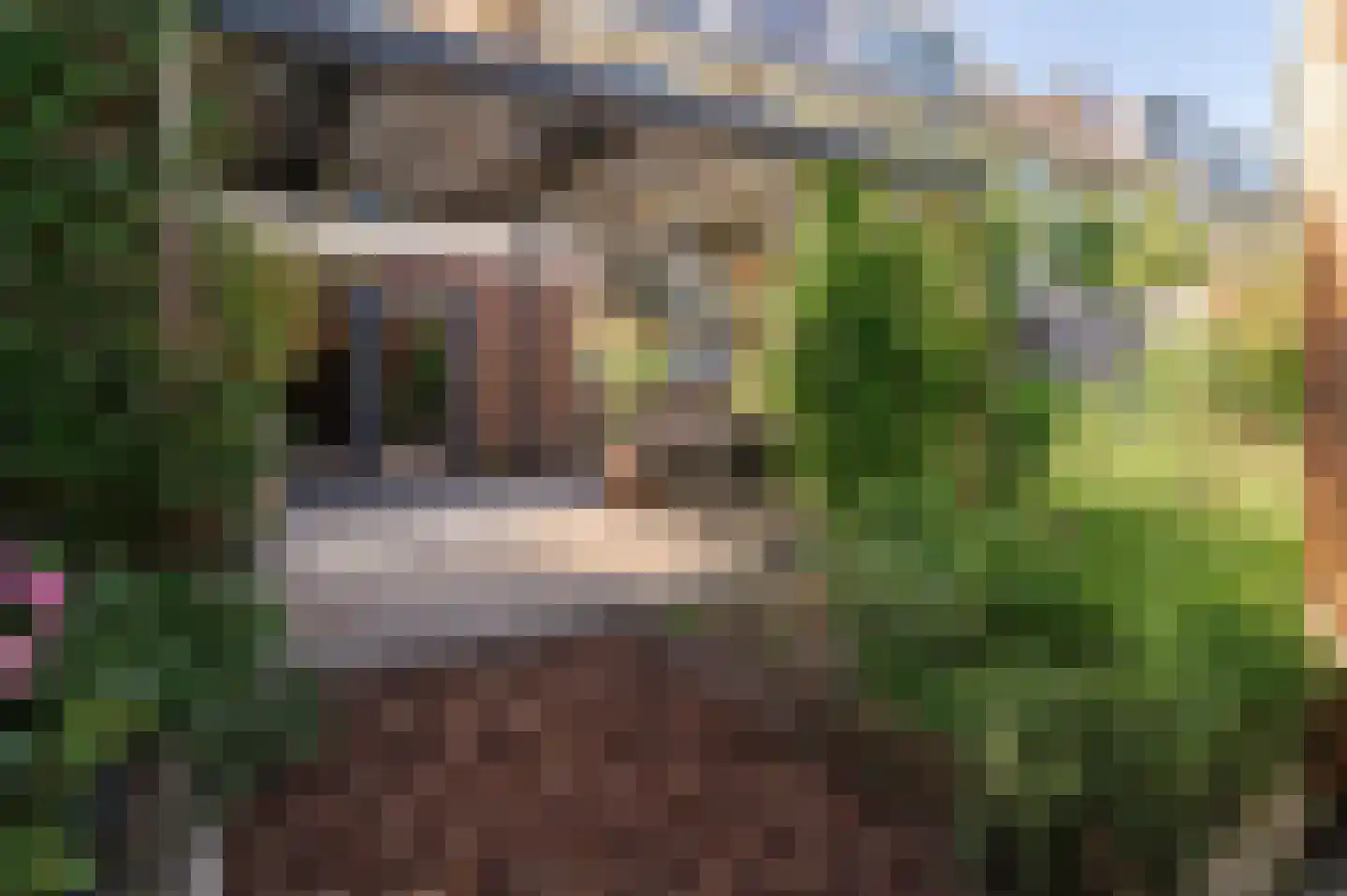 Ravelijnstraat 66 Culemborg thumbnail 28