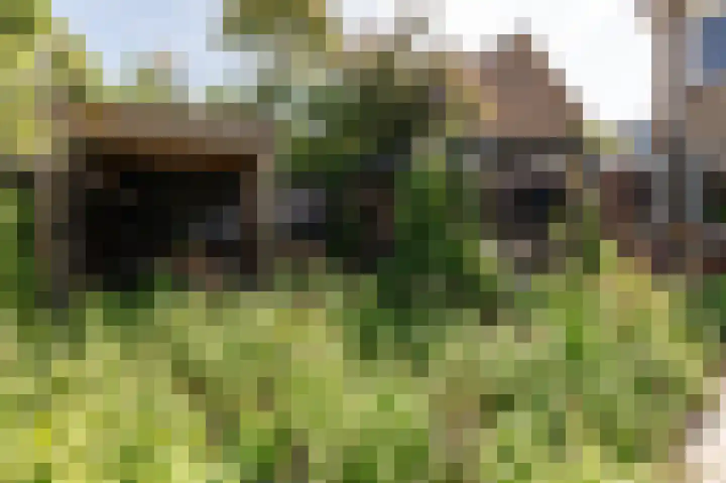 Ravelijnstraat 66 Culemborg thumbnail 30