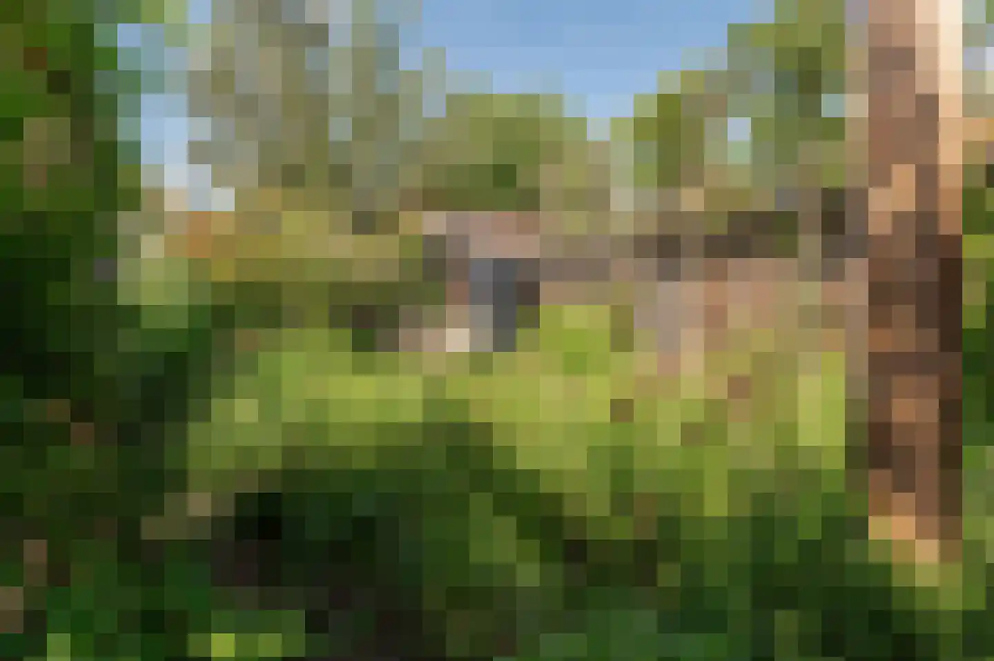 Ravelijnstraat 66 Culemborg thumbnail 31