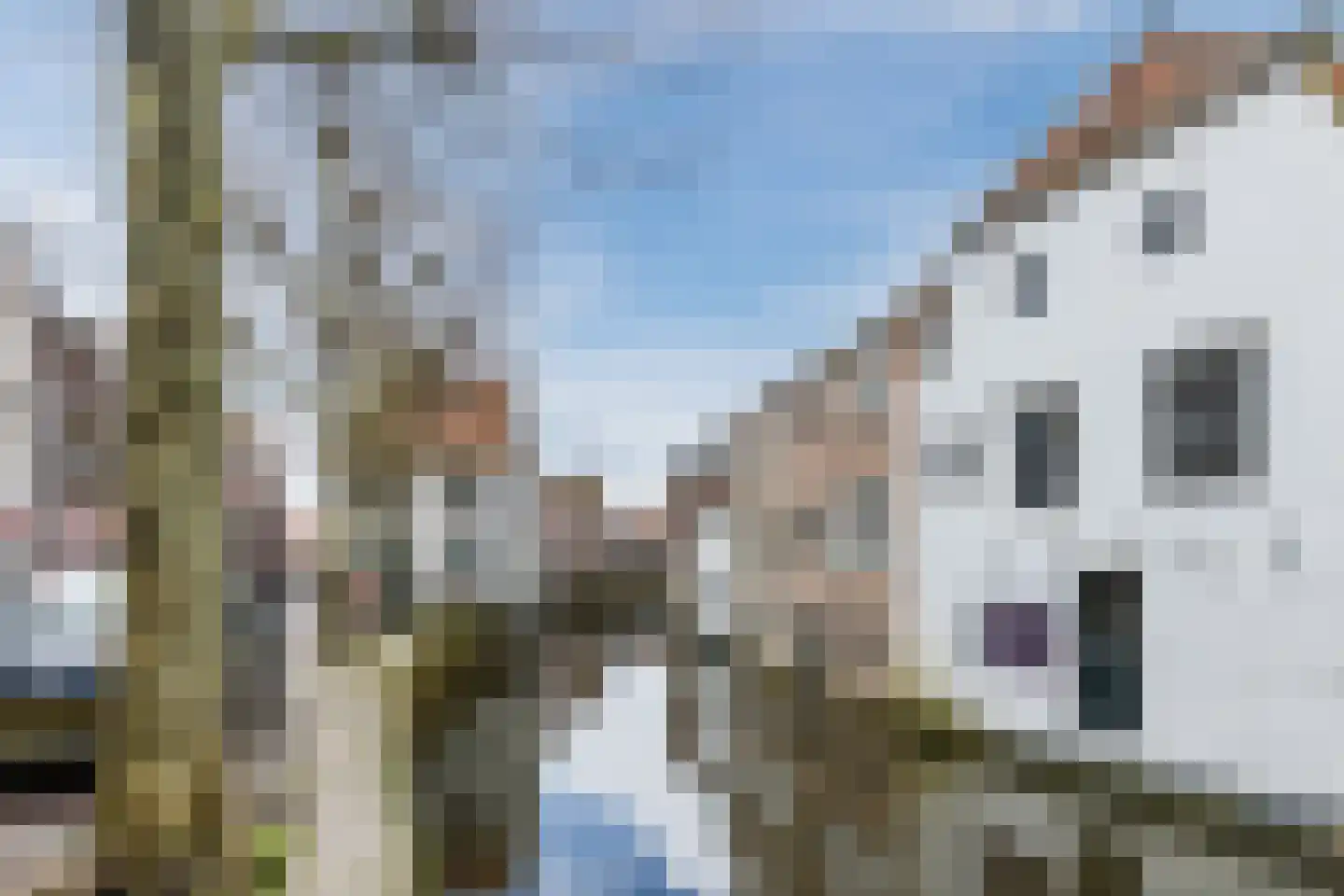 Ravelijnstraat 8 Oudewater thumbnail 34