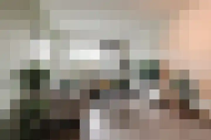 Ravelijnstraat 81 Culemborg thumbnail 8
