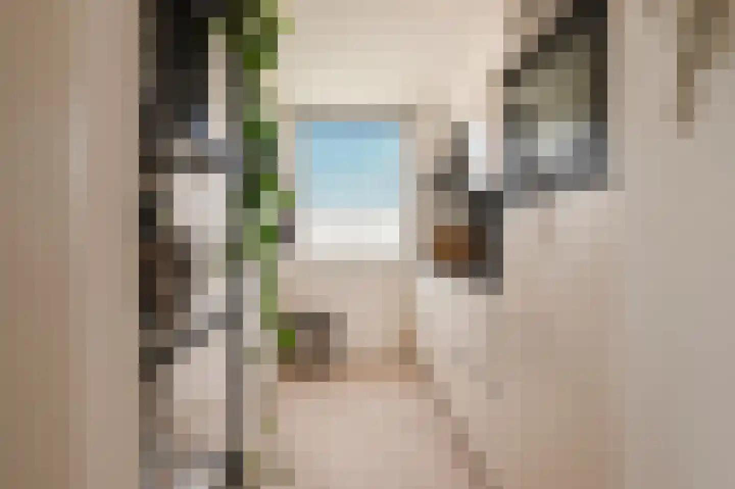 Ravelijnstraat 99 Culemborg thumbnail 12