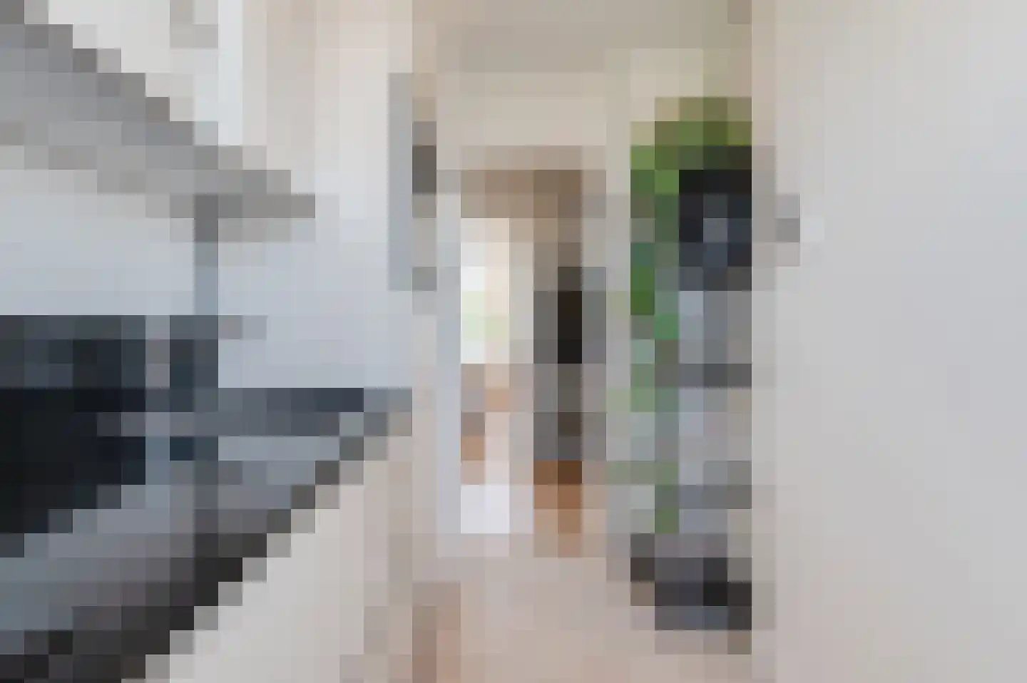 Ravelijnstraat 99 Culemborg thumbnail 13