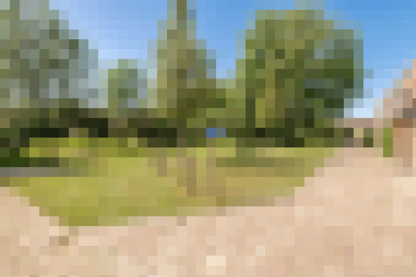 Ravelijnstraat 99 Culemborg thumbnail 19