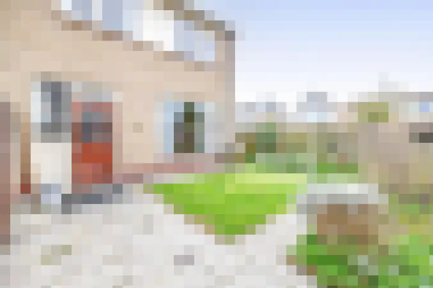 Ravellaan 1 Naaldwijk thumbnail 21