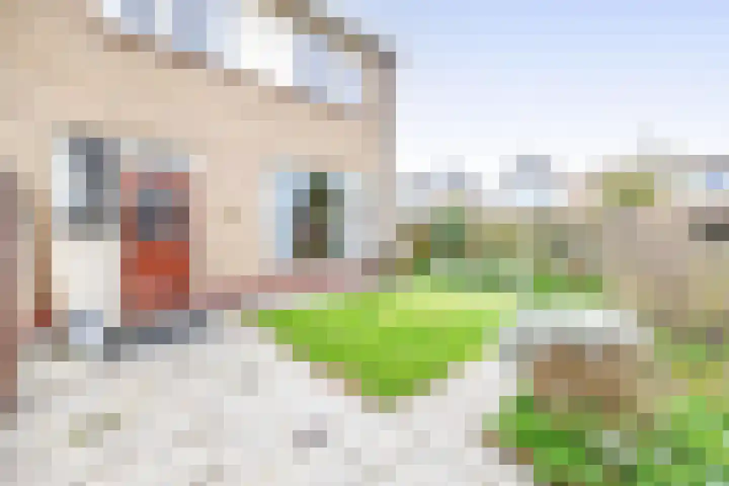 Ravellaan 1 Naaldwijk thumbnail 21