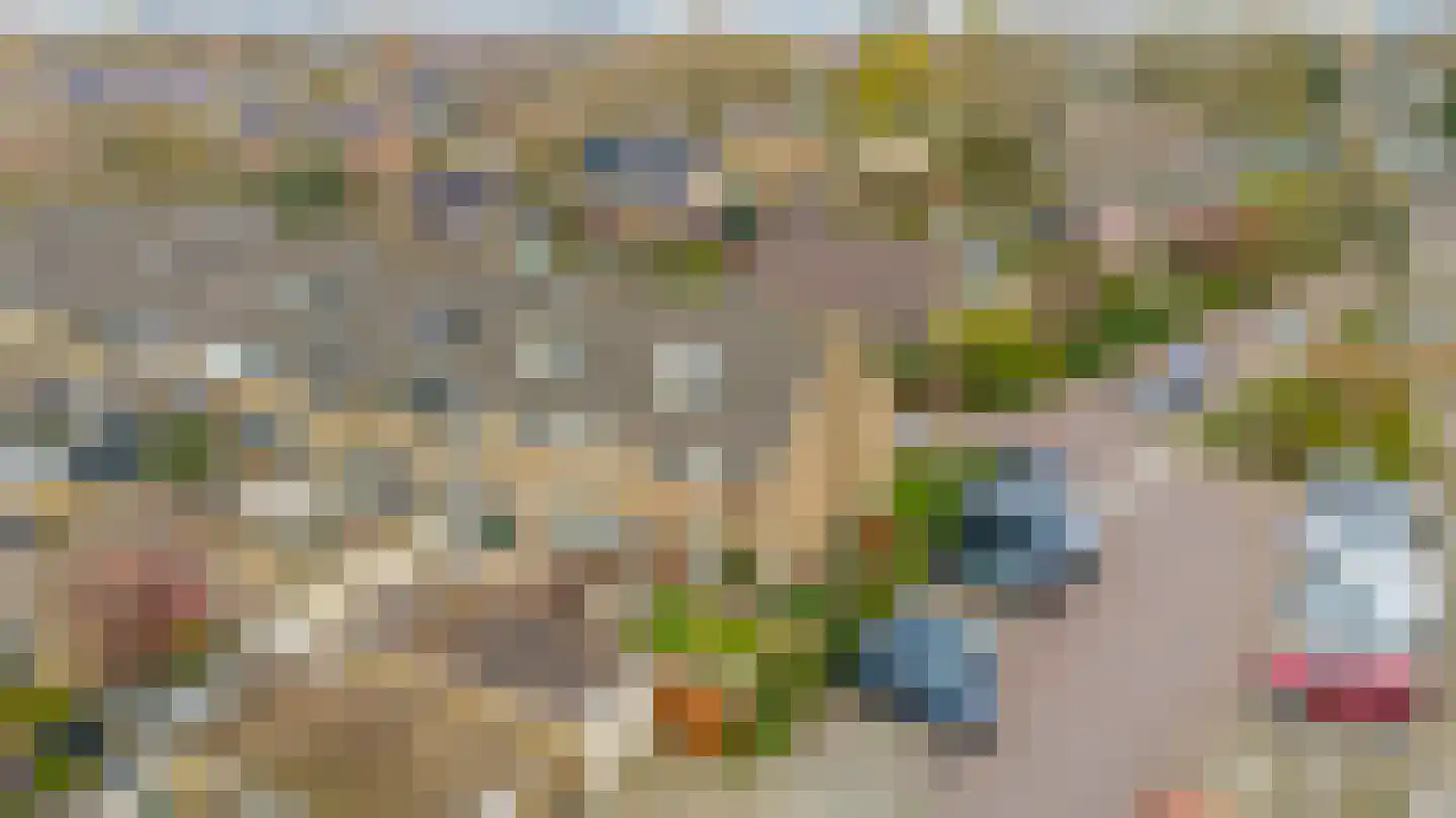 Ravellaan 1 Naaldwijk thumbnail 45
