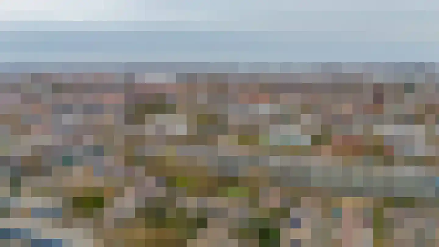 Ravellaan 1 Naaldwijk thumbnail 46