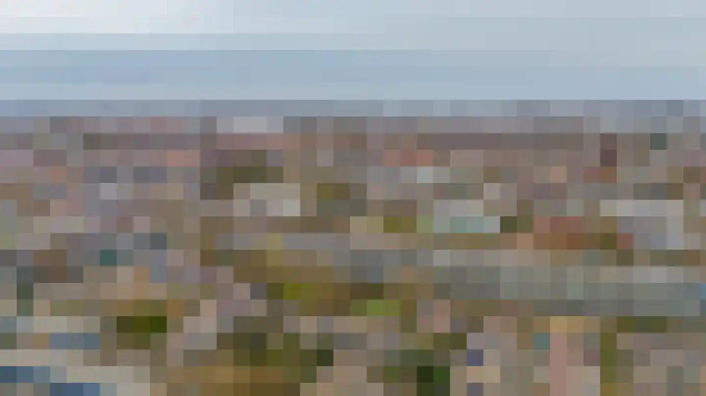 Ravellaan 1 Naaldwijk thumbnail 46