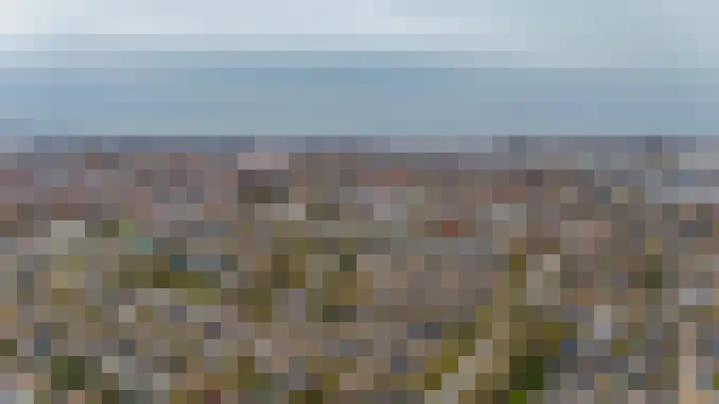 Ravellaan 1 Naaldwijk thumbnail 47