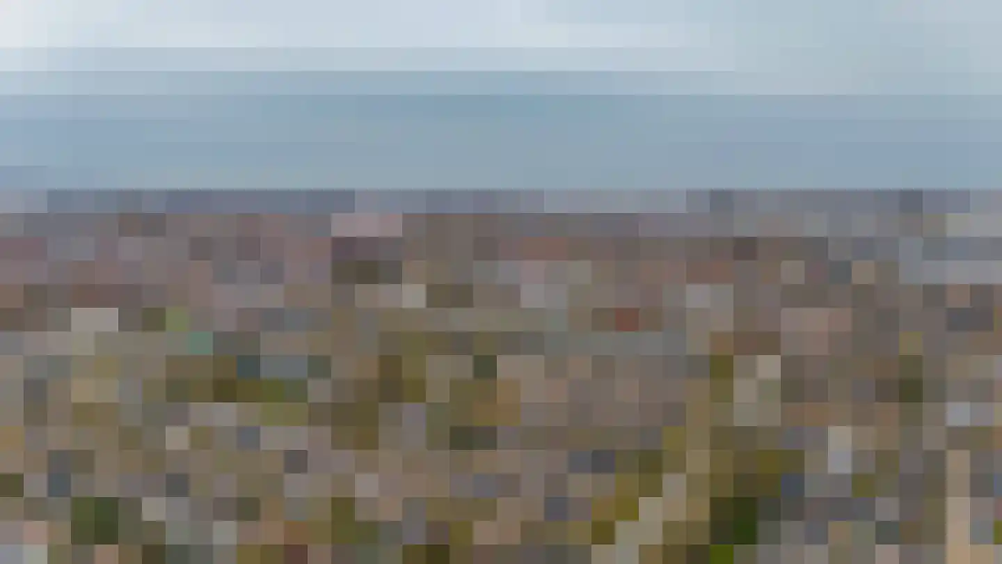 Ravellaan 1 Naaldwijk thumbnail 47