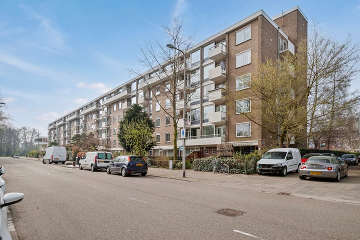 Ravellaan 101 in Utrecht Foto