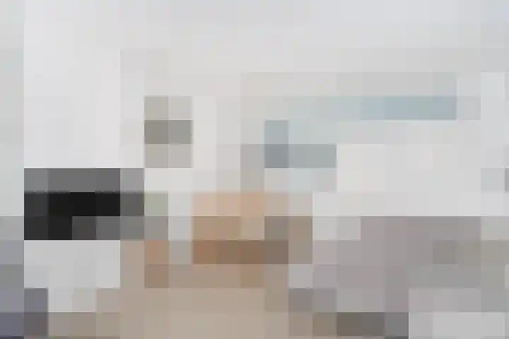 Ravellaan 103 Utrecht thumbnail 4