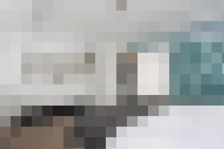 Ravellaan 103 Utrecht thumbnail 8