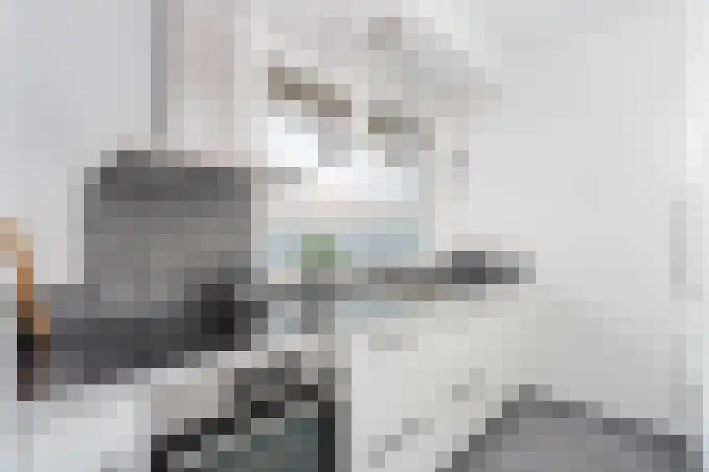 Ravellaan 103 Utrecht thumbnail 9