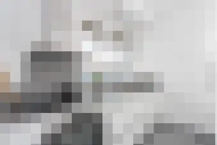 Ravellaan 103 Utrecht thumbnail 9