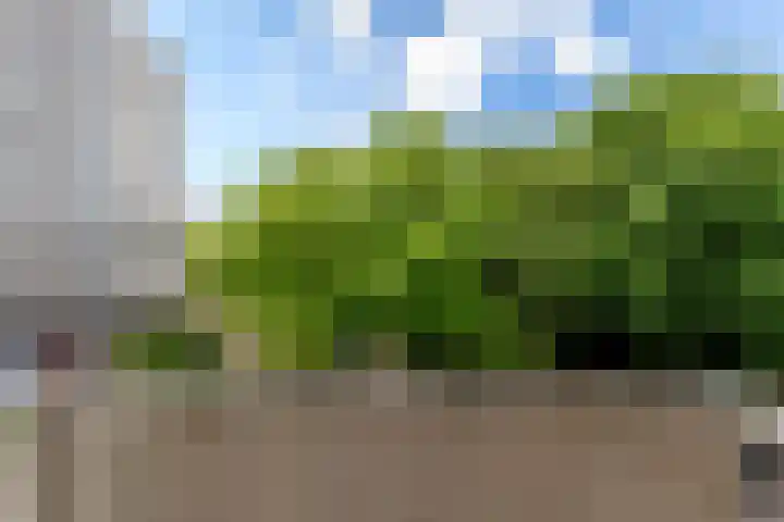 Ravellaan 109 Utrecht thumbnail 20