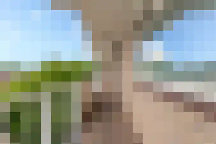 Ravellaan 109 Utrecht thumbnail 21