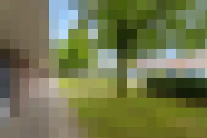 Ravellaan 109 Utrecht thumbnail 23