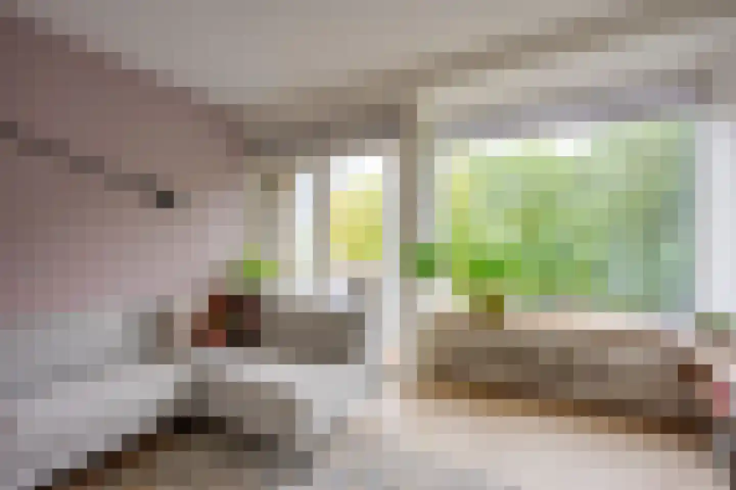 Ravellaan 111 Utrecht thumbnail 17